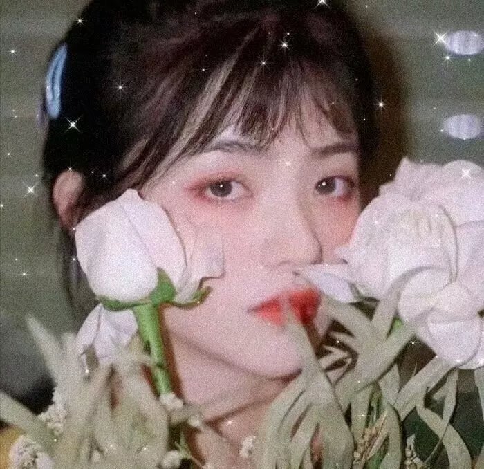 怪妳过分美丽