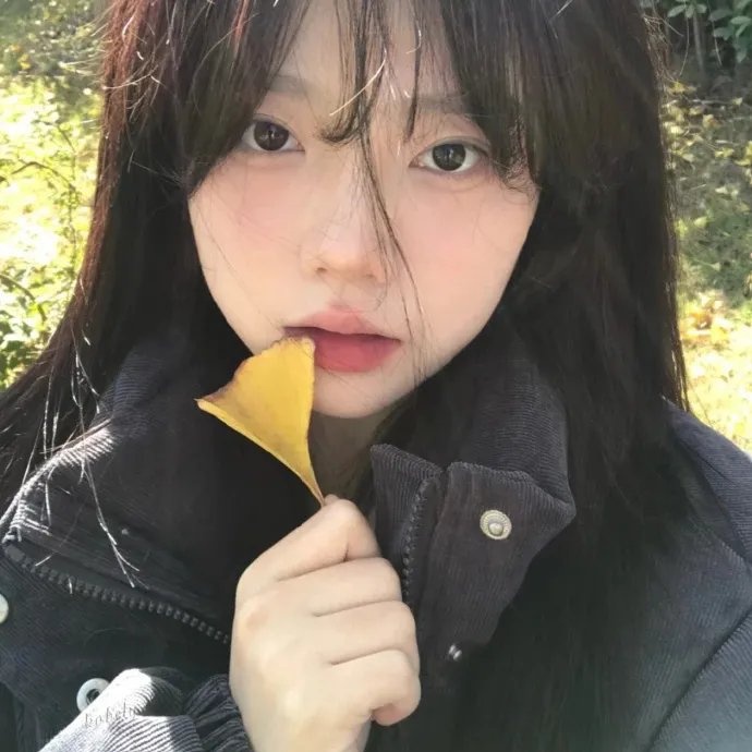 十六岁的花季